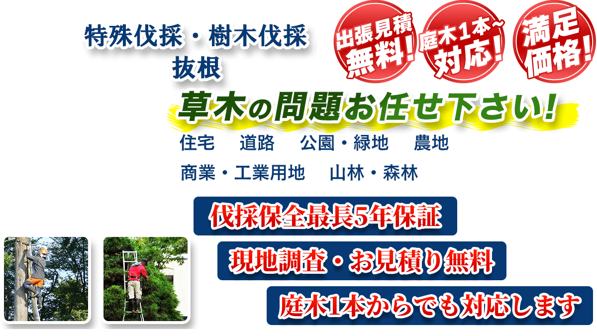 春日市エリア即対応!! 出張無料! 庭木1本~対応! 満足価格! 植木剪定・生垣刈込 樹木伐採・伐根 草木の問題お任せ下さい! 住宅 道路 公園・緑地 農地 商業・工業用他 山林・森林 伐採保全最長5年保証 現地調査・お見積り無料 庭木1本からでも対応します